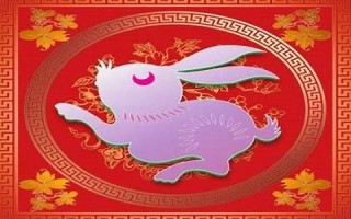 2013年属兔人的运程(2013年属兔人的运程如何)