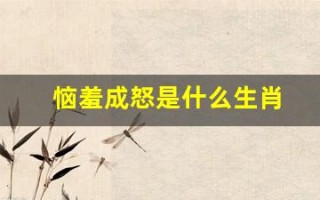 恼羞成怒是什么生肖(恼羞成怒打一最佳生肖)