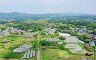 2021年7月4日黄历(2021年7月4日黄历查询)