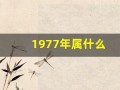 1977年属什么(1976年属什么)