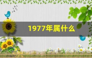 1977年属什么(1976年属什么)