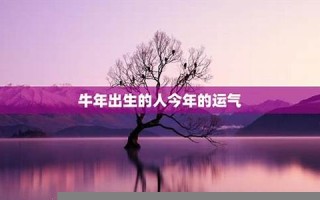 牛年出生的人(牛年出生的人五行属什么)