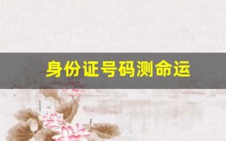 身份证号码测命运(身份证号码测试算命)