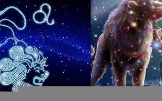 狮子座几月(狮子座最合不来的星座)