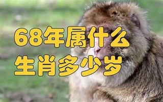 68年属什么生肖多少岁(69年属什么生肖多少岁)