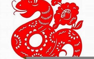 属蛇今年的运程(属蛇今年的运程运势)