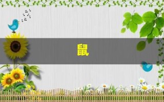 鼠(鼠和什么属相相合)