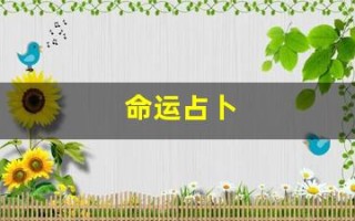 命运占卜(命运占卜免费)