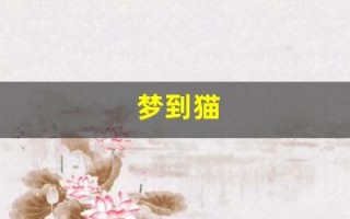 梦到猫(梦到猫攻击自己是什么意思)