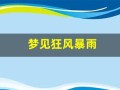 梦见狂风暴雨(梦见狂风暴雨我躲在屋里)