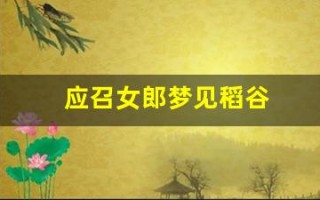 应召女郎梦见稻谷(女人梦到稻谷)