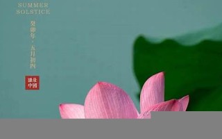 农历五月初八(正月初八是几月几日)
