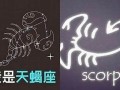 巨蟹座女和天蝎座男(水瓶男和巨蟹女座配对指数)