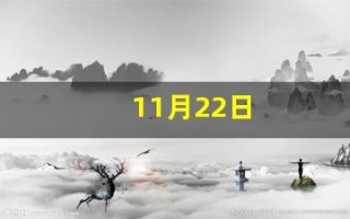 11月22日(11月22日是谁的生日)