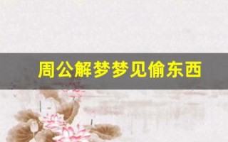 周公解梦梦见偷东西(周公解梦梦见偷东西被别人发现)