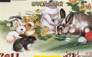 87年属什么的生肖(86年属什么的生肖)
