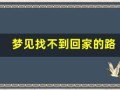 梦见找不到回家的路(梦见找不到回家的路找人问路)