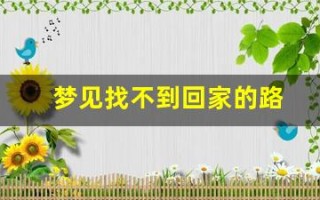 梦见找不到回家的路(梦见找不到回家的路找人问路)