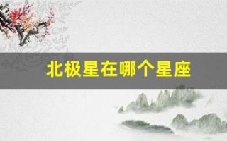 北极星在哪个星座(北极星和北斗七星)
