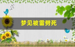 梦见被雷劈死(梦见被雷劈死了)