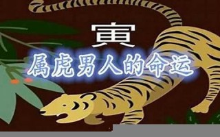 属虎人的命运(属虎的人一生运势详细分析)