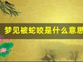 梦见被蛇咬是什么意思 周公解梦(周公解梦梦见蛇是什么意思)