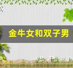 金牛女和双子男(金牛女和双子男在一起合适吗)