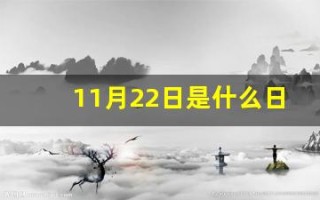 11月22日是什么日子(2024年11月22日是什么日子)