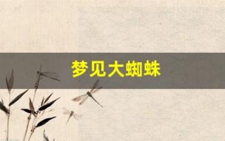 梦见大蜘蛛(梦见大蜘蛛爬身上是什么预兆)