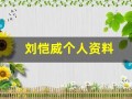 刘恺威个人资料(刘恺威个人资料简介 年龄)