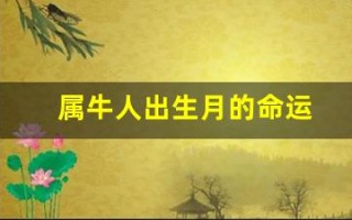 属牛人出生月的命运(属羊5月份出生的命运怎么样)