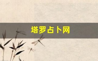 塔罗占卜网(塔罗占卜网店)