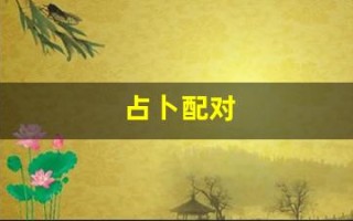 占卜配对(婚配占卜)