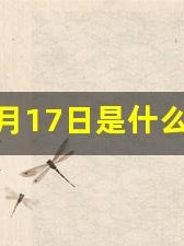 9月17日是什么日子(2024年9月17日是什么日子)