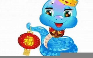 2013生肖(2013生肖蛇五行属什么)