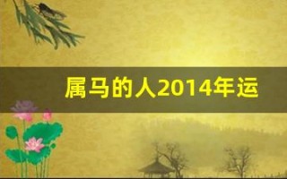 属马的人2014年运程(属马的人2014年运势)