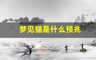 梦见猫是什么预兆(梦见猫咬自己什么预兆)