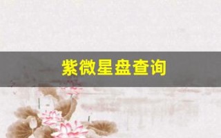 紫微星盘查询(紫微星盘查询免费)