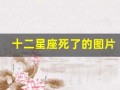 十二星座死了的图片(十二星座的月份表图片)
