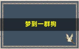 梦到一群狗(梦见狗咬自己右手财运怎么样)