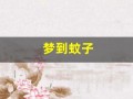 梦到蚊子(梦到蚊子特别多)