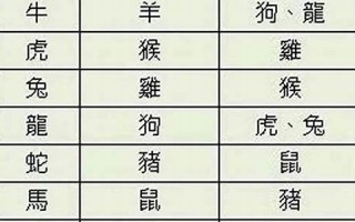 属猪的属相婚配表(属猪的属相婚配表女)