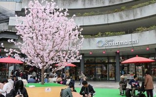 3月1日(2025年3月1日)