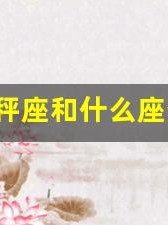 天秤座和什么座最配(天秤座和什么座最配对朋友)