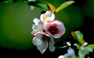 2月8日(2月8日用英语怎么说)