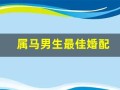 属马男生最佳婚配(属马男人最佳妻子)