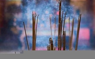 2013蛇年运势(2013蛇今年运气)