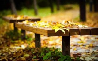 梦见老朋友(梦见老朋友相见是什么意思)