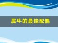属牛的最佳配偶(96年属牛的最佳配偶)