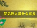 梦见死人是什么兆头(梦见棺材是什么兆头)